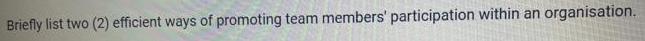 Briefly list two (2) efficient ways of promoting team members' participation within an organisation.