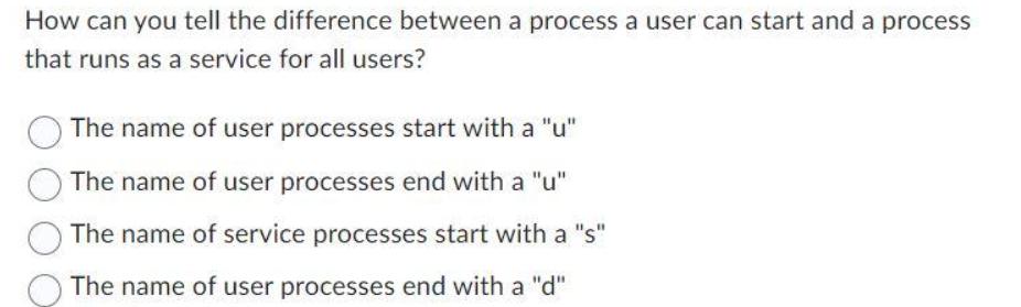 How can you tell the difference between a process a user can start and a process that runs as a service for