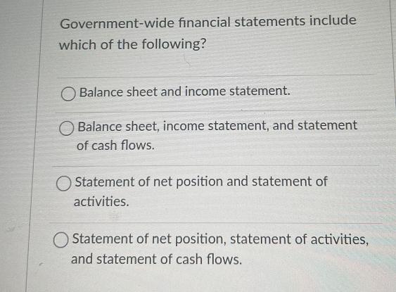 Government-wide financial statements include which of the following? O Balance sheet and income statement.