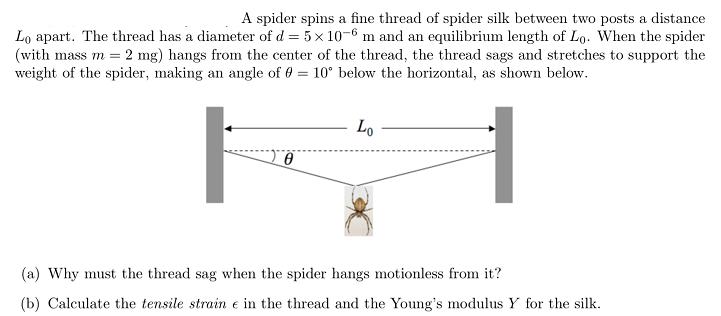 A spider spins a fine thread of spider silk between two posts a distance Lo apart. The thread has a diameter