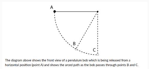 A The diagram above shows the front view of a pendulum bob which is being released from a horizontal position