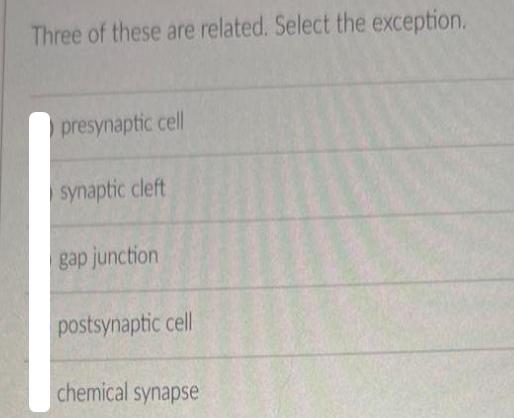 Three of these are related. Select the exception. O presynaptic cell synaptic cleft gap junction postsynaptic