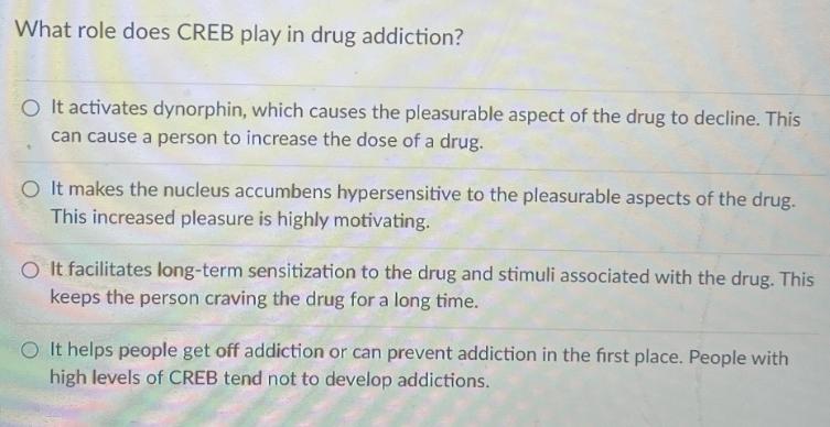 What role does CREB play in drug addiction? O It activates dynorphin, which causes the pleasurable aspect of