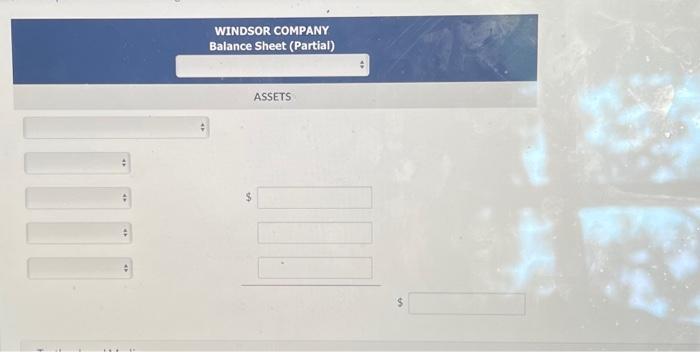 WINDSOR COMPANY Balance Sheet (Partial) $ ASSETS