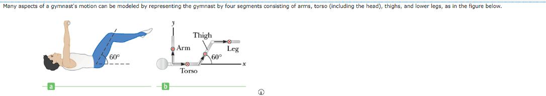 Many aspects of a gymnast's motion can be modeled by representing the gymnast by four segments consisting of