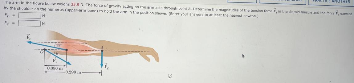 The arm in the figure below weighs 35.9 N. The force of gravity acting on the arm acts through point A.