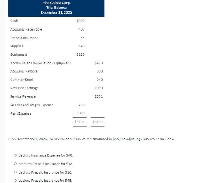 Cash Pina Colada Corp. Trial Balance December 31, 2025 Accounts Receivable Prepaid Insurance Supplies