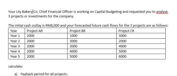 Your Lily Bakery Co. Chief Financial Officer is working on Capital Budgeting and requested you to analyse 3