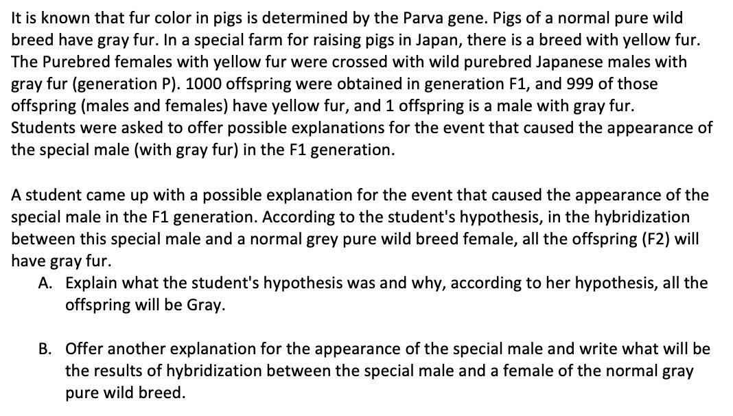 It is known that fur color in pigs is determined by the Parva gene. Pigs of a normal pure wild breed have