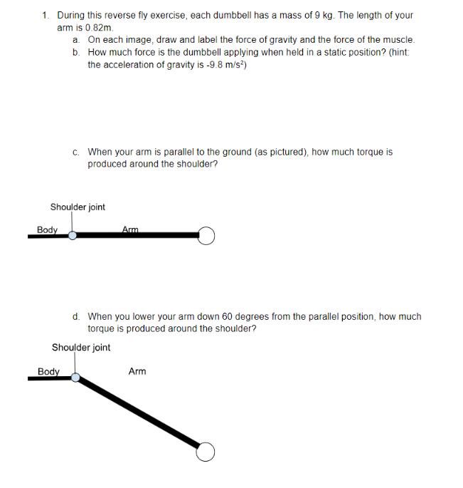1. During this reverse fly exercise, each dumbbell has a mass of 9 kg. The length of your arm is 0.82m. Body