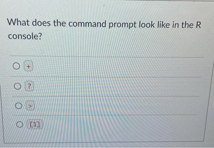 What does the command prompt look like in the R console? + EN O[1]