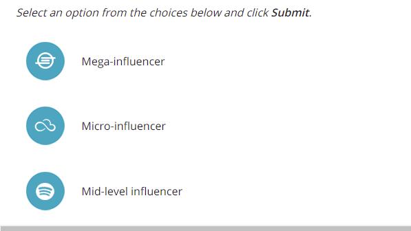 Select an option from the choices below and click Submit. 8 Mega-influencer Micro-influencer Mid-level