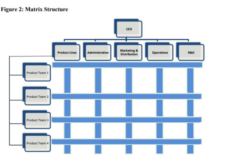 Figure 2: Matrix Structure DODI Product Team 1 Product Team 2 Product Team 3 Product Team 4 Product Lines