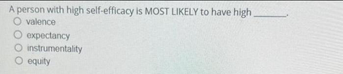 A person with high self-efficacy is MOST LIKELY to have high O valence O expectancy O instrumentality O equity