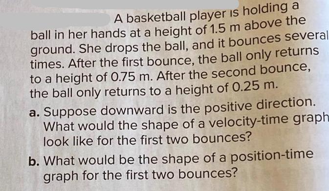 A basketball player is holding a ball in her hands at a height of 1.5 m above the ground. She drops the ball,