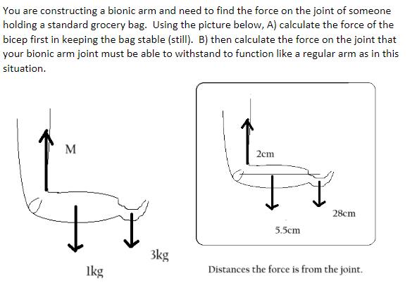 You are constructing a bionic arm and need to find the force on the joint of someone holding a standard