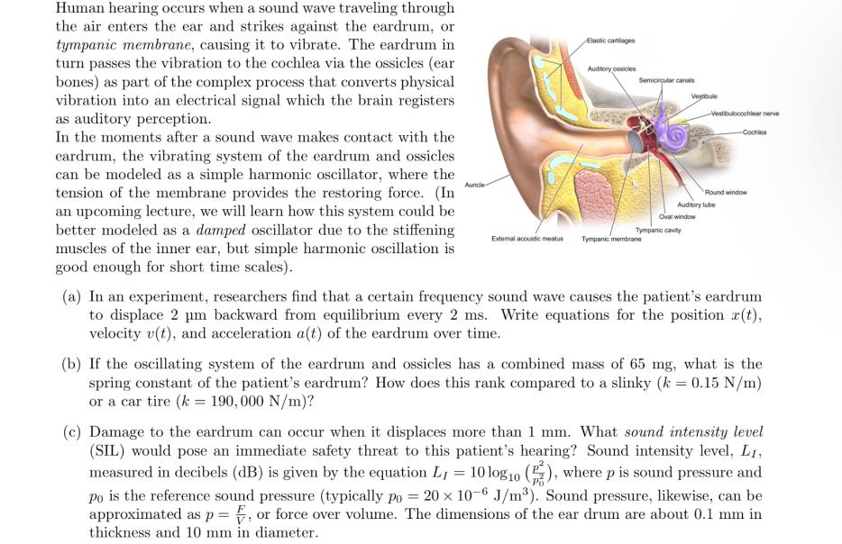 Human hearing occurs when a sound wave traveling through the air enters the ear and strikes against the