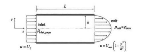 'L u=U inlet Pintet gage L h exit Pexit Patm