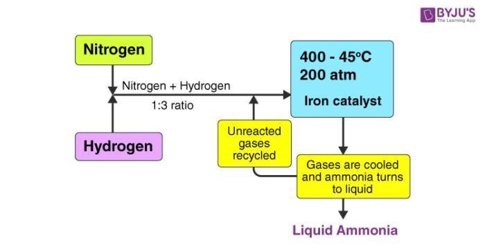 Nitrogen Nitrogen + Hydrogen 1:3 ratio Hydrogen Unreacted gases recycled 400-45C 200 atm Iron catalyst Gases