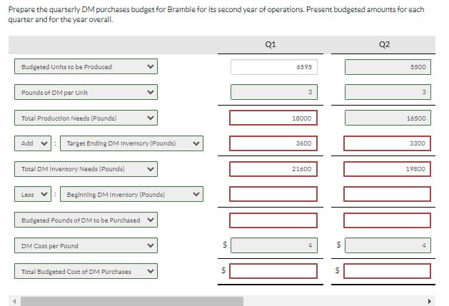 Prepare the quarterly DM purchases budget for Bramble for its second year of operations. Present budgeted