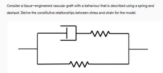 Consider a tissue-engineered vascular graft with a behaviour that is described using a spring and dashpot.