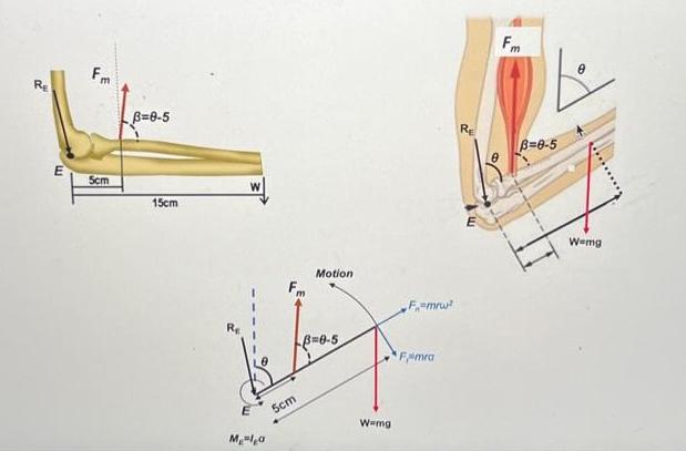 20 E Fm 5cm B=8-5 15cm RE Mela Fm 5cm Motion B=0-5 W=mg F=mrw Famra m B=8-5 Wemg