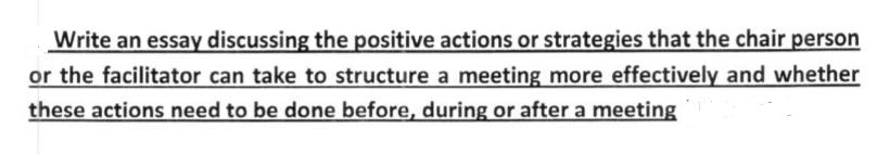 Write an essay discussing the positive actions or strategies that the chair person or the facilitator can