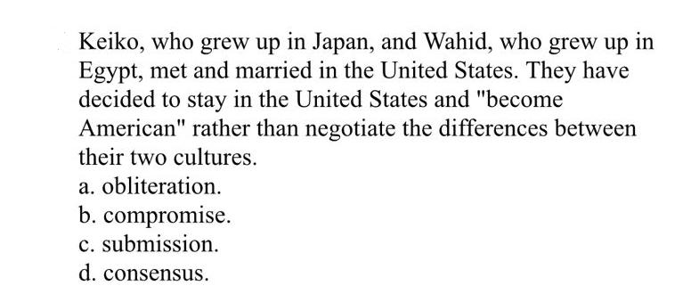 Keiko, who grew up in Japan, and Wahid, who grew up in Egypt, met and married in the United States. They have
