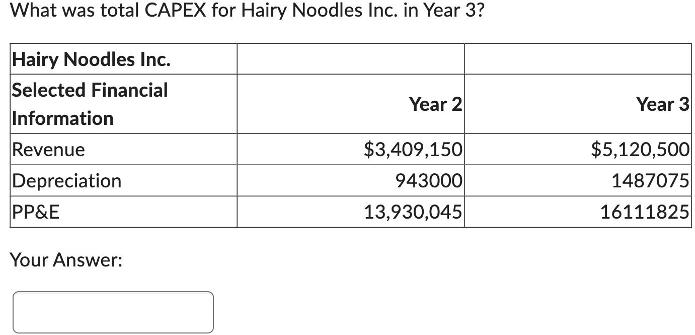 What was total CAPEX for Hairy Noodles Inc. in Year 3? Hairy Noodles Inc. Selected Financial Information