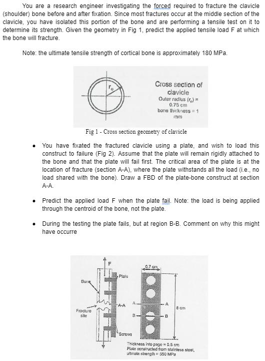 You are a research engineer investigating the forced required to fracture the clavicle (shoulder) bone before