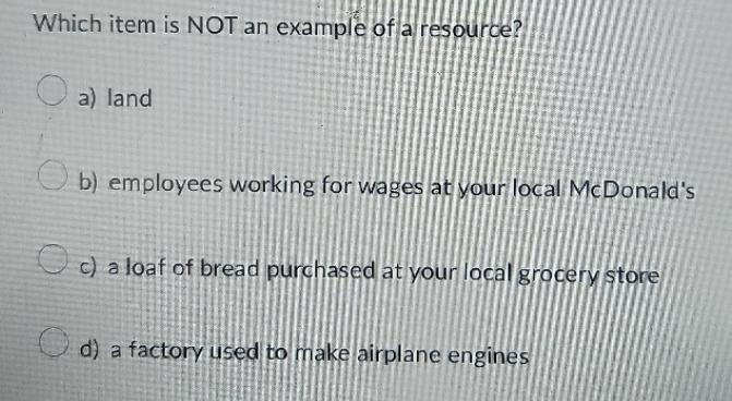 Which item is NOT an example of a resource? a) land b) employees working for wages at your local McDonald's