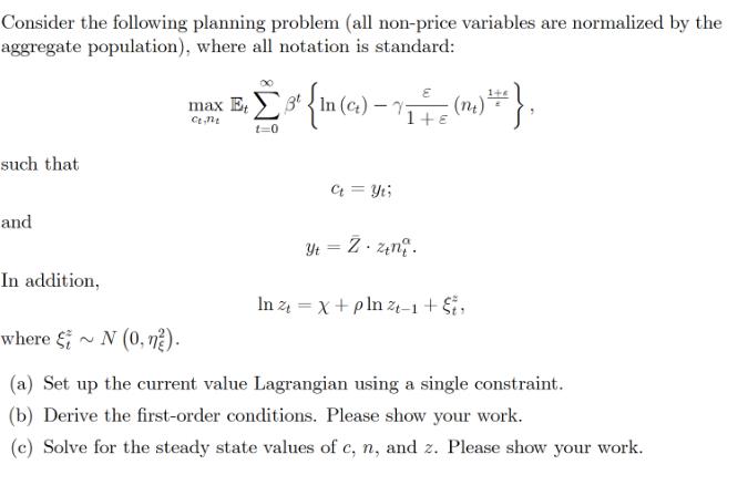 Consider the following planning problem (all non-price variables are normalized by the aggregate population),
