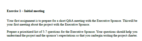 Exercise 1 - Initial meeting Your first assignment is to prepare for a short Q&A meeting with the Executive