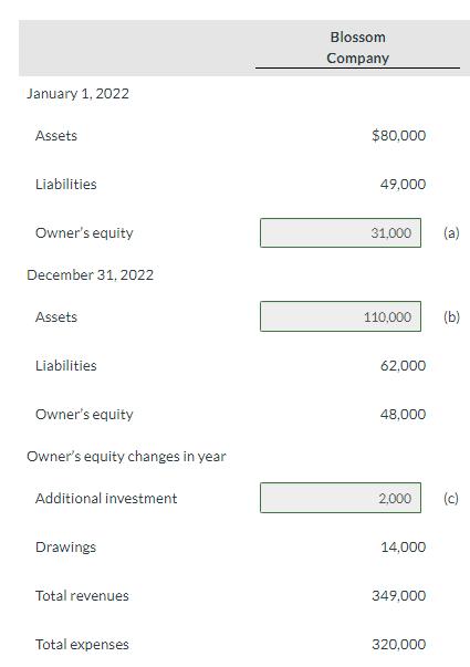 January 1, 2022 Assets Liabilities Owner's equity December 31, 2022 Assets Liabilities Owner's equity Owner's