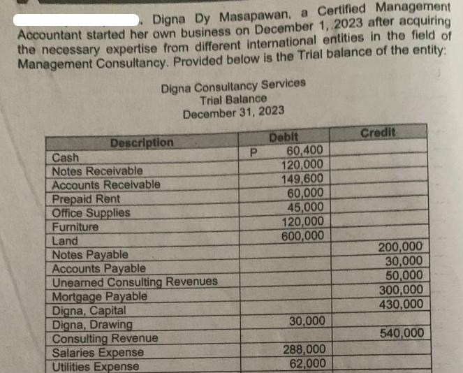 Digna Dy Masapawan, a Certified Management Accountant started her own business on December 1, 2023 after
