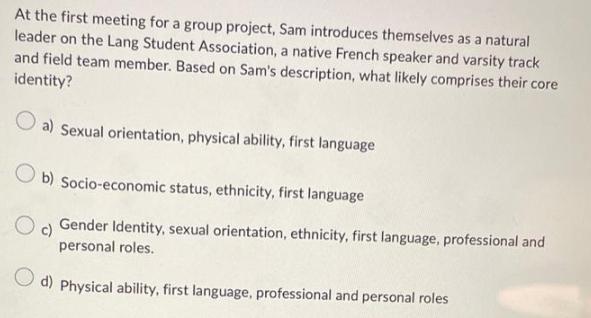 At the first meeting for a group project, Sam introduces themselves as a natural leader on the Lang Student