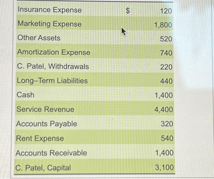 Insurance Expense Marketing Expense Other Assets Amortization Expense C. Patel, Withdrawals Long-Term