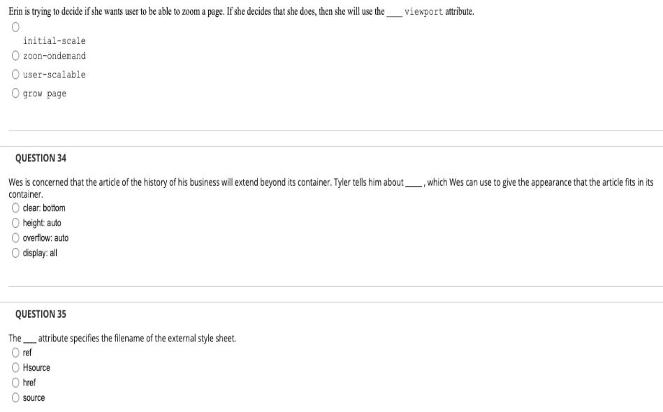 Erin is trying to decide if she wants user to be able to zoom a page. If she decides that she does, then she