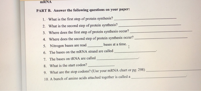 mRNA PART B. Answer the following questions on your paper: 1. What is the first step of protein synthesis? 2.