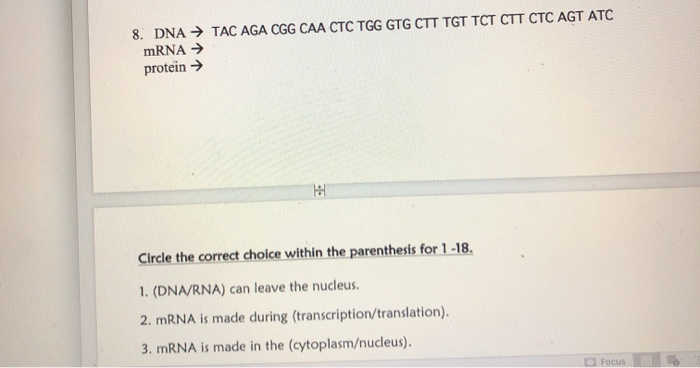 8. DNATAC AGA CGG CAA CTC TGG GTG CTT TGT TCT CTT CTC AGT ATC mRNA  protein  H Circle the correct choice