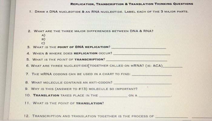 REPLICATION, TRANSCRIPTION & TRANSLATION THINKING QUESTIONS 1. DRAW A DNA NUCLEOTIDE & AN RNA NUCLEOTIDE.