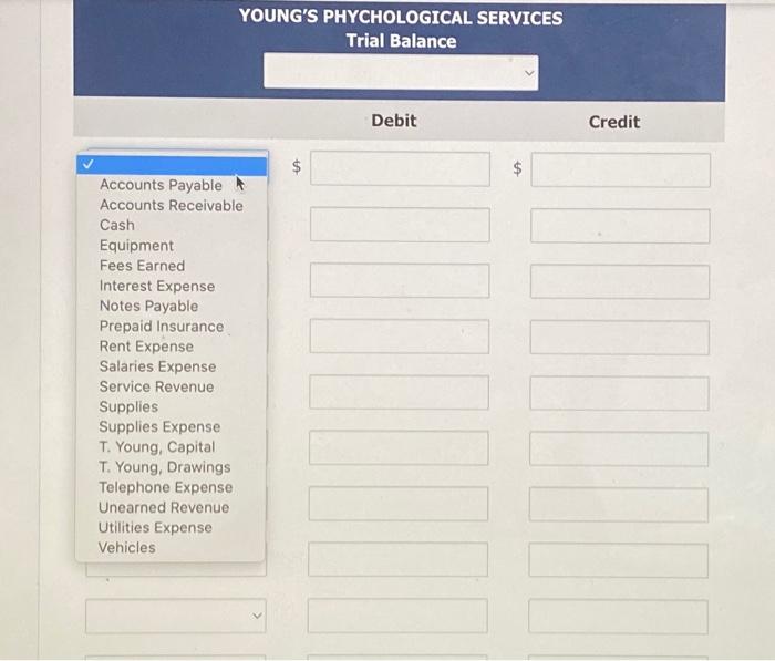 YOUNG'S PHYCHOLOGICAL SERVICES Trial Balance Accounts Payable Accounts Receivable Cash Equipment Fees Earned
