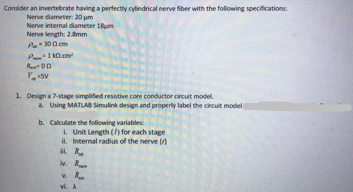 Consider an invertebrate having a perfectly cylindrical nerve fiber with the following specifications: Nerve