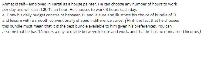 Ahmet is self-employed in Kartal as a house painter. He can choose any number of hours to work per day and