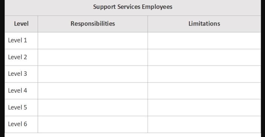 Level Level 1 Level 2 Level 3 Level 4 Level 5 Level 6 Support Services Employees Responsibilities Limitations