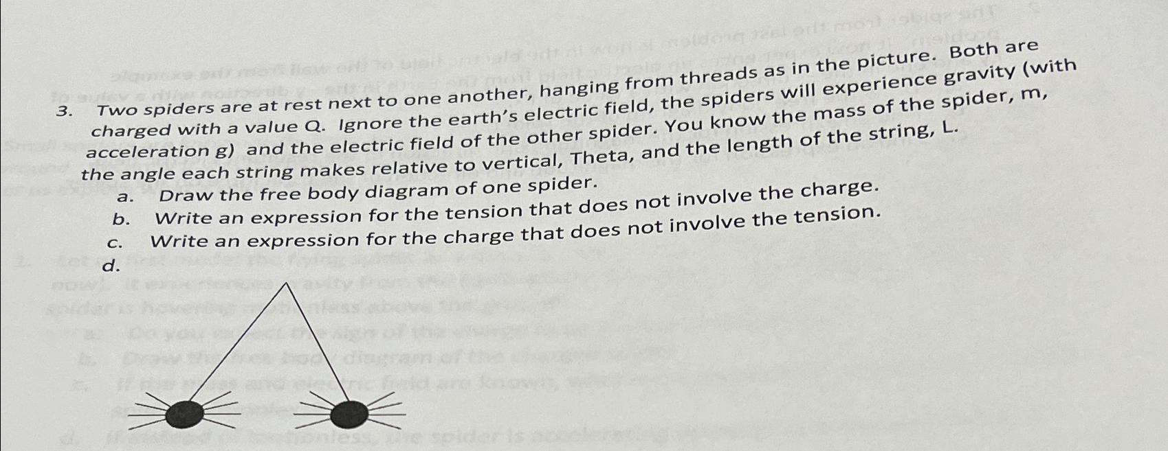 Hai noldong Two spiders are at rest next to one another, hanging from threads as in the picture. Both are