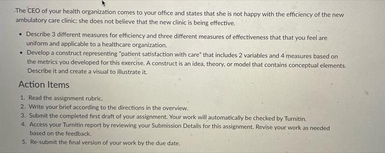 The CEO of your health organization comes to your office and states that she is not happy with the efficiency