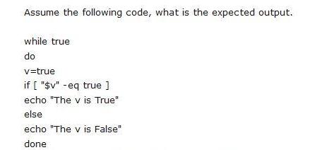 Assume the following code, what is the expected output. while true do v=true if [ 