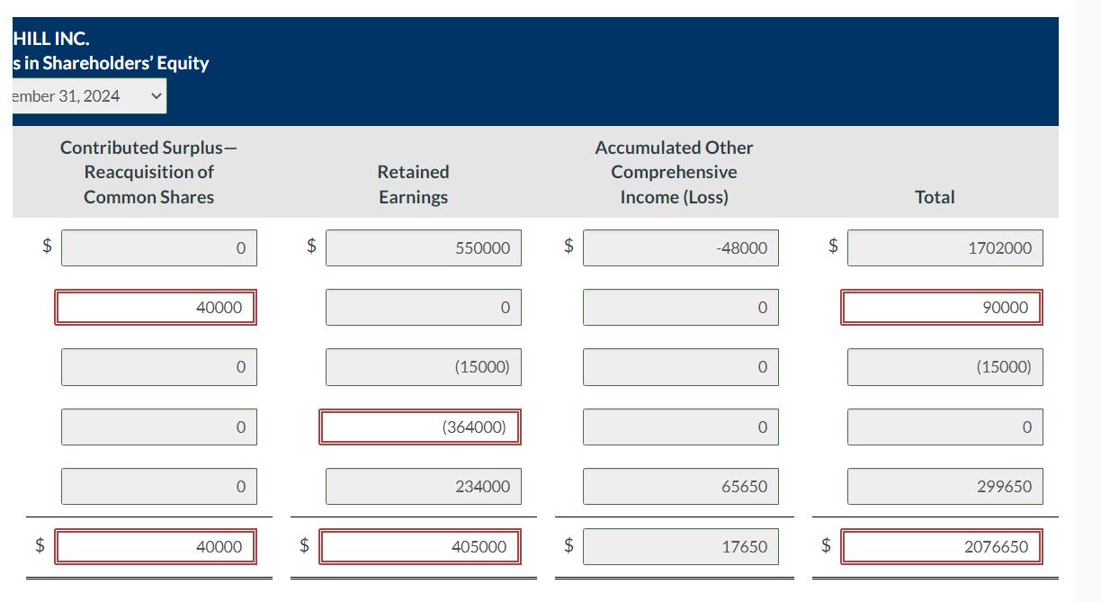 HILL INC. s in Shareholders Equity ember 31, 2024 0 0 \begin{tabular}{||l||} \hline 90000 \\ \hline \end{tabular} 0 (15000) 