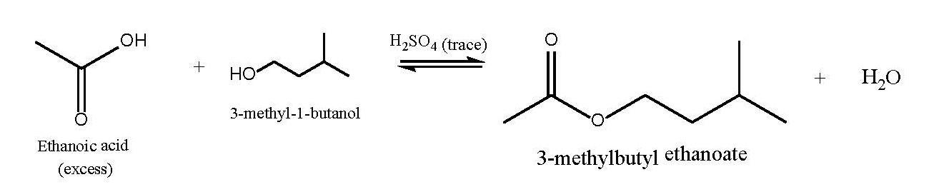 OH H2SO4 (trace) + Y HO + H2O 3-methyl-1-butanol Ethanoic acid (excess) 3-methylbutyl ethanoate